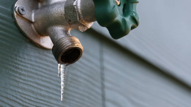 Best Plumbing Repair Near Me  in Seaville, NJ